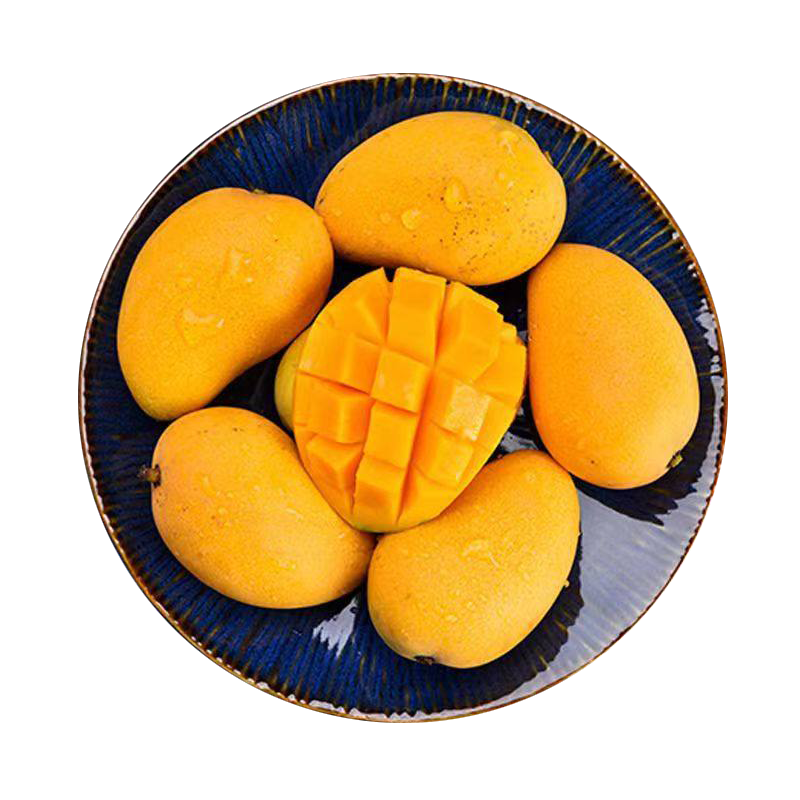 [熊猫鸟]新鲜海南贵妃芒果 净重4.5斤 单果100-150g 热带水果 新鲜水果 香甜可口