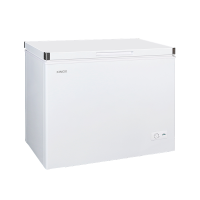 星星(XINGX)143升家用商用冷柜减霜一级能效冷藏冷冻转换柜单温冰柜BD/BC-143GC白色