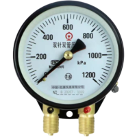 红旗 双针压力表定制检测款 Y100 1200KPA 块