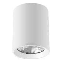 韬鹏 照明LED筒灯 50W 个