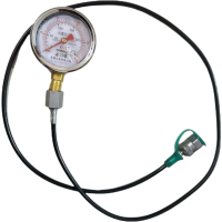 红旗 耐震压力表YTN60 压力值需备注(含2米测试软管) 块