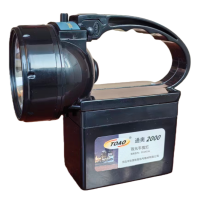 通奥2000 TOAO 强光手提灯 DTZ4536 个