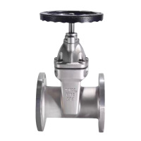 般德 不锈钢软密封闸阀 DN100 台