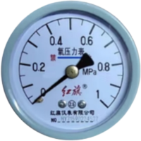 红旗 轴向氧气压力表定制检测款 YO60Z(压力值需备注) 块