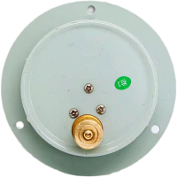 红旗 压力表轴向带边定制检测款Y150ZT (压力值需备注) 块