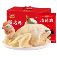 五个农民红功夫清远鸡礼盒A款1.1kg新鲜速冻低脂高蛋白便捷烹饪健康美味