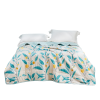 苏宁宜品罗莱芬梦清凉夏被双人200x230cm斜纹绗缝轻盈透气夏季纤维被1斤以内