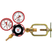 红旗 乙炔减压器定制检测款YQE-213 个