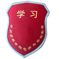 德誉臂章(盾型)120x80mm个