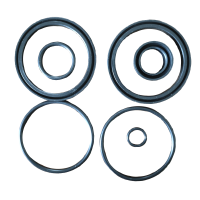 智铁 气缸密封圈 QGLK63 套