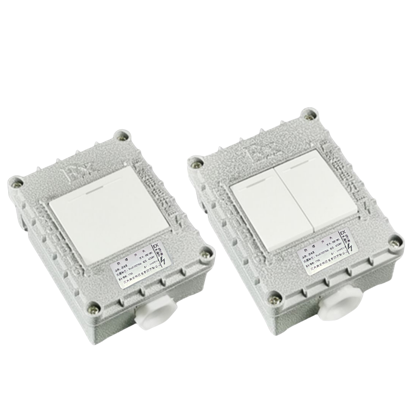 西瑞思 防爆开关 照明 XRS-DFG 个