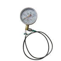 红旗 耐震压力表YTN100 压力值需备注(含2米测试软管) 块