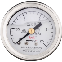 红旗 轴向耐震压力表定制检测款YTN50Z (压力值需备注) 块