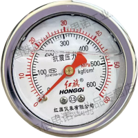 红旗 轴向耐震压力表定制检测款YTN60Z 60MPA 块