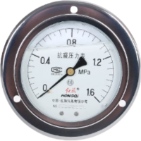 红旗 轴向带边耐震压力表(带检定证书) YTN100ZT 1.6MPA (其他压力表需备注) 块