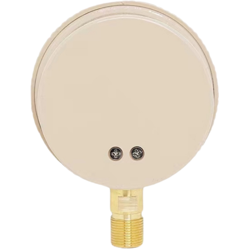 红旗 膜盒压力表(带检定证书) YE100 1.6MPA 其他压力值需备注 块