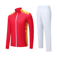 极星健 运动套装 C4 套