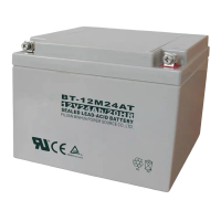 赛特蓄电池 12V/24AH 主机UPS备用电池 一对两个 单对