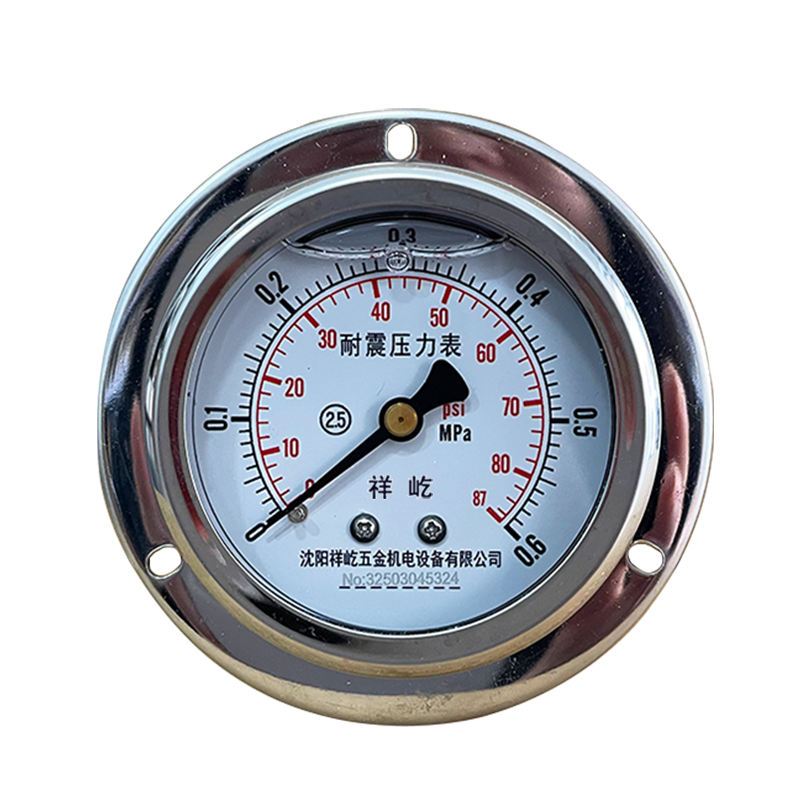 祥屹 耐震压力表(轴向带边) YN60ZT 块