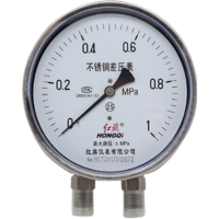 红旗 不锈钢差压表定制检测款 CYW-100B 0-1MPA (其他压力值需备注) 块