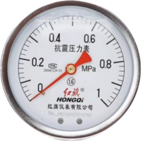 红旗 耐震压力表轴向定制检测款 YTN150Z (压力值需备注) 块