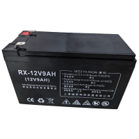 RX 雨量仪蓄电池 12V/9AH节