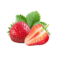 顺丰快递[熊猫鸟]彩箱装 四川正宗大凉山露天草莓 中果 单果20g左右 净重2.4斤 (300g*4) 新鲜水果