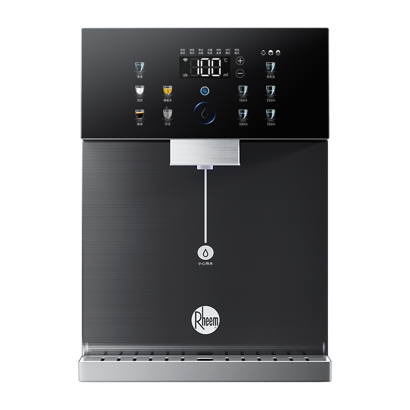 美国百年品牌 瑞美壁挂管线机RMGX-25CB-H1