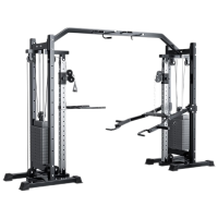 韦步XJL-0109大飞鸟龙门架家用多功能一体器材高位下拉综合器械