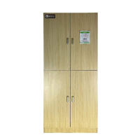 盛铁达 两门衣柜(颜色尺寸可定制) STD-XS549 个