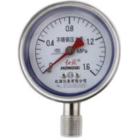 红旗 不锈钢压力表Y60BF 1.6MPA(其他压力值需备注) 块
