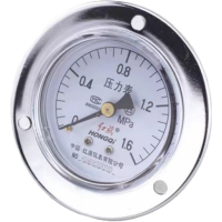 红旗 压力表轴向带边定制检测款Y50ZT (压力值需备注) 块