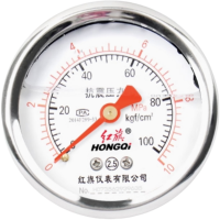 红旗 轴向耐震压力表定制检测款YTN60 块