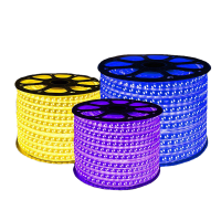 亮思能 LED户外防水灯带 220V高压灯带 LSN-CBY 米