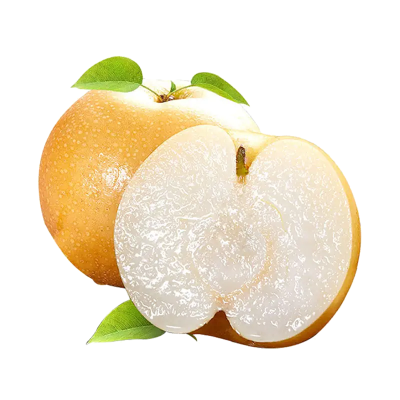 [苏鲜生]新鲜山东秋月梨 净重4.5斤 特大果 3-4枚 当季水果 现摘现发 甜蜜多汁