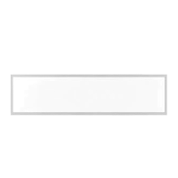 亮思能 LED平板灯 面板灯 集成吊顶面板灯 LSN-YCD 300*1200mm 48W 个