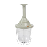 亮思能 LED防爆灯 隔爆型照明灯 200型+20W球泡 LSN-1370/个