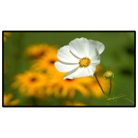 昌裕CY-GGJBG-Y55 55寸壁挂触摸广告机 触摸显示屏 触控一体机