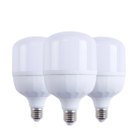 亮思能 LED灯泡 节能灯泡 E27螺口灯泡 LSN-DK 45W/个