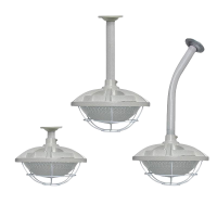 亮思能 LED防爆灯 三防飞碟灯 免维护隔爆灯LSN-DLB 30W 个