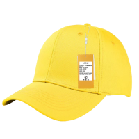 雅霖服 四季帽YLF-XC002 顶