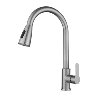 LONMATE SUS304菜盆抽拉龙头SL1349 一个