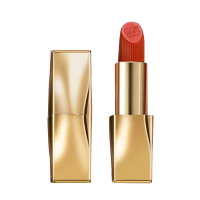 雅诗兰黛绝色由我丝绒唇膏#420(金管)