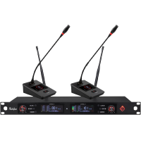 润普Runpu会议音频扩声系统 专业无线一拖二鹅颈麦克风话筒 UHF红外对频RP-SU29E