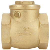 止逆阀 4分 单位:个