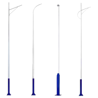 亮思能 LED路灯杆 立柱灯杆 带地笼 LSN-JMB 个
