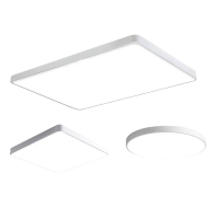 亮思能 LED吸顶灯 护眼吸顶灯 LSN-PEX 白光-正方形40CM-36W/个