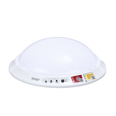 亮思能 LED消防应急吸顶灯 楼道应急照明灯 LSN-YJF 12W/个