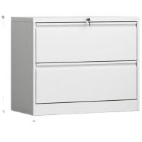 晋舰文件柜铁皮柜挂劳柜FC办公柜挂捞柜A4立式抽屉文件柜子宽二抽卡箱