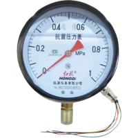 红旗 耐震远传压力表 YTZN150 (压力值需备注) 块